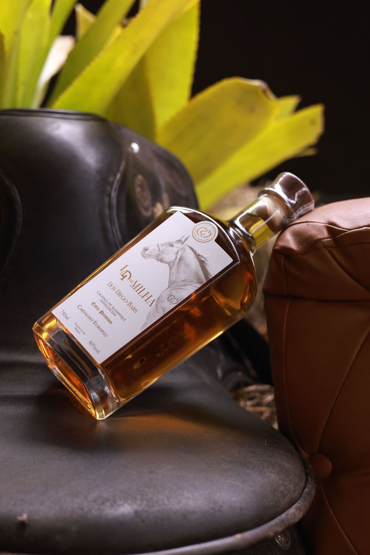 Don Diego Bars: O Cavalo que Virou Lenda e Inspirou uma Cachaca