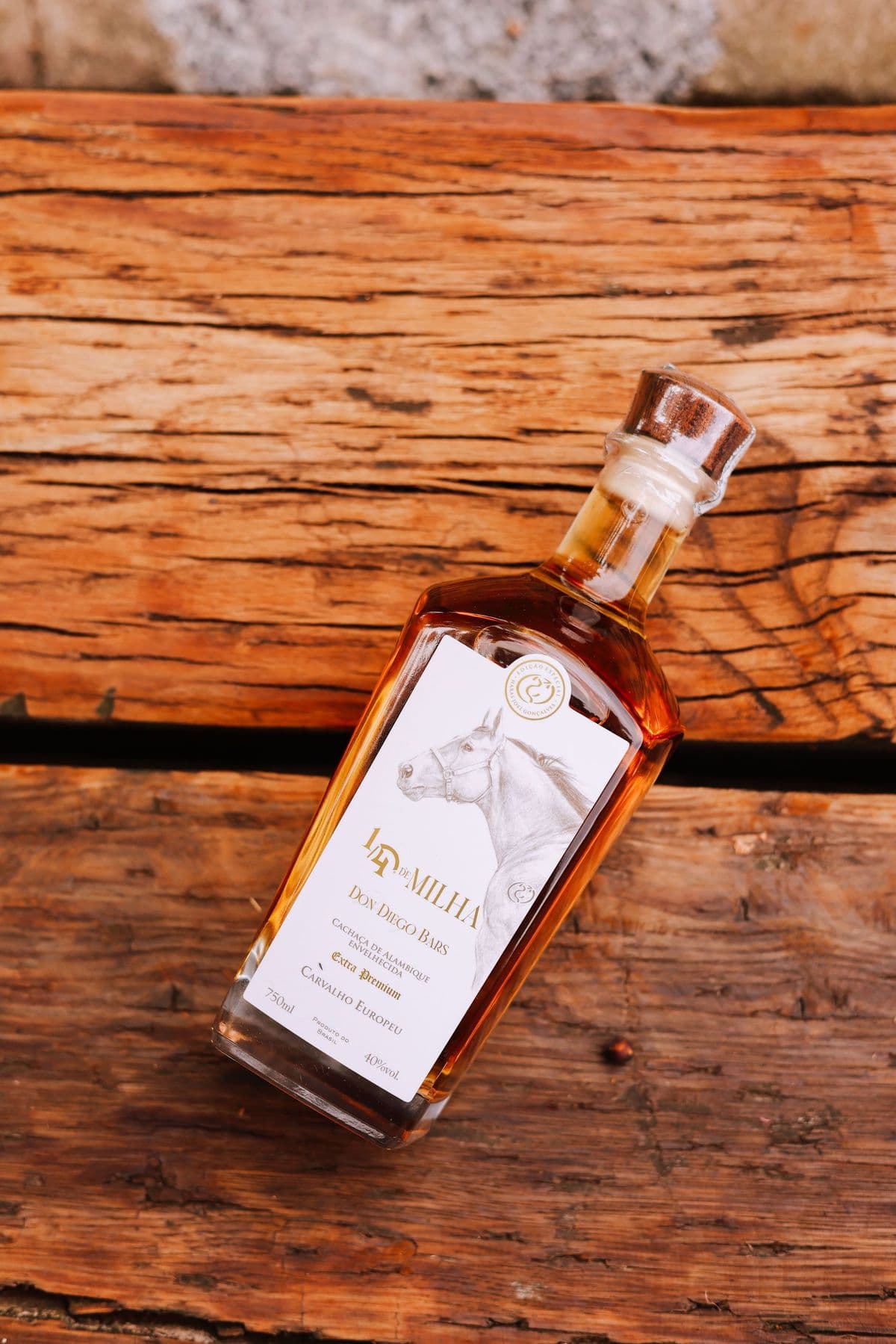 Quarto de Milha: A Raca que Conquistou o Sertao Nordestino